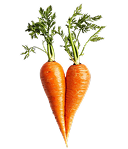 2 Carrots