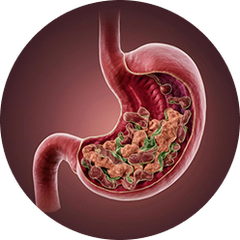 Bloating slows you down